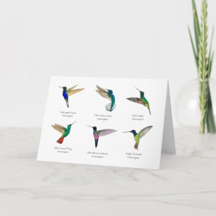 Tropical Hummingbirds  Card