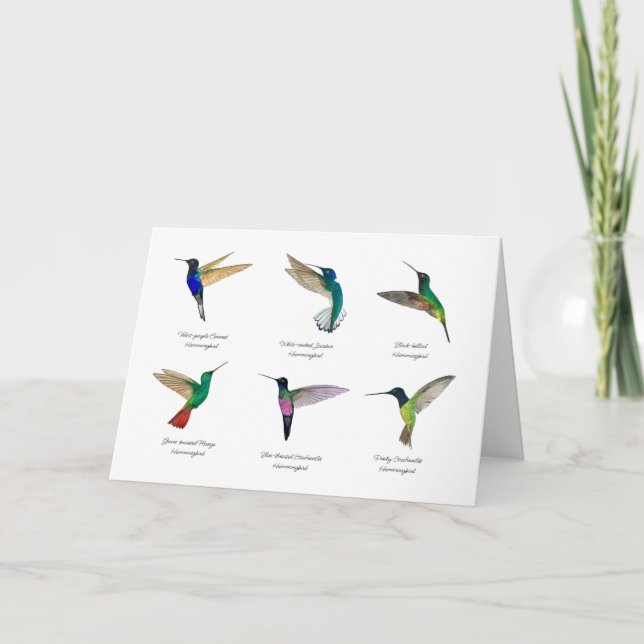 Tropical Hummingbirds  Card (Front)