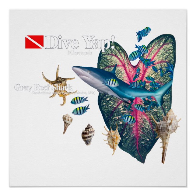 Tropical Invitation Poster (Front)