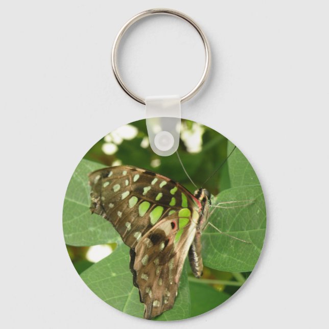 Tropical Iridescent Green Butterfly Keychain (Front)