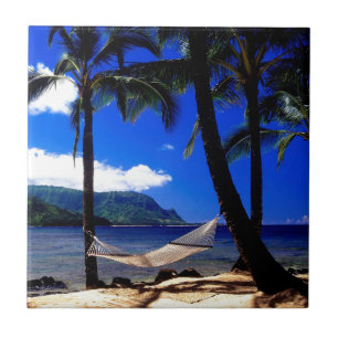 Tropical Island Afternoon Nap Kauai Hawaii Tile