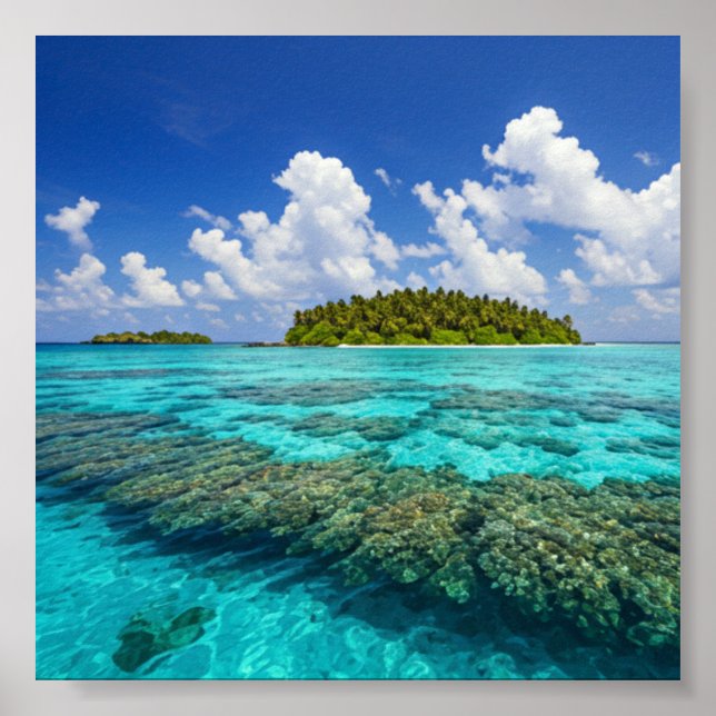 Tropical Island and Coral Reef Poster (Front)