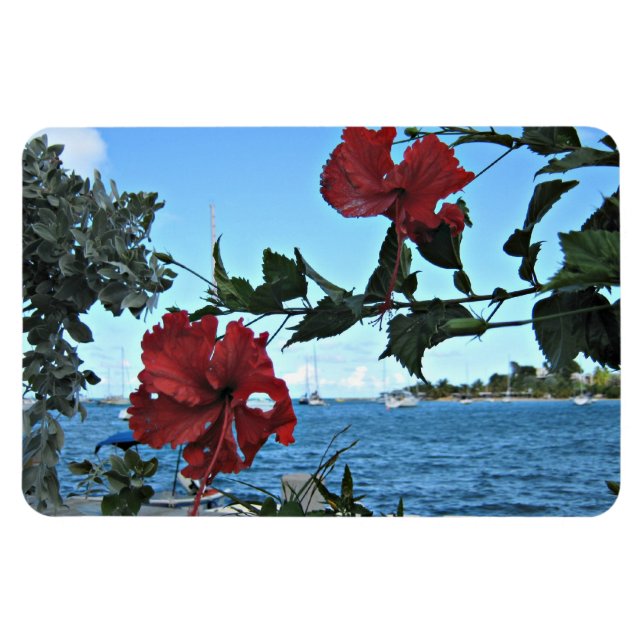 Tropical Island Flowers Magnet (Horizontal)