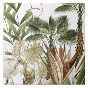 Tropical Island Palm Tree Fronds Ceramic Tile