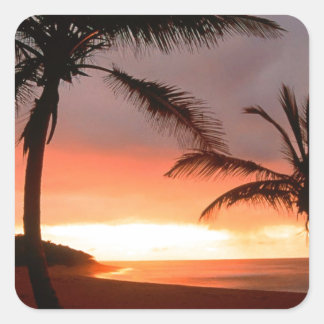 Tropical Island Palms Dominican Republic Square Sticker