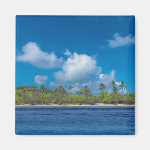 Tropical Island Paradise with Palm Trees  Magnet