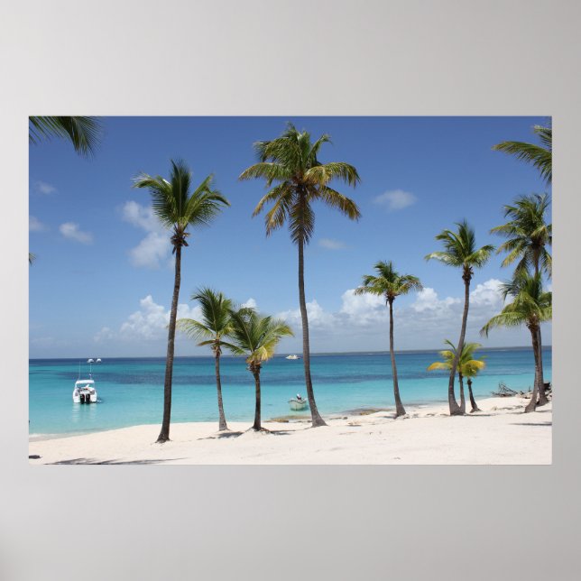 Tropical Island Poster (Front)
