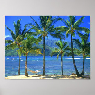 Tropical Island Poster