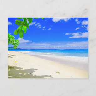 Tropical Island Retreat On White Sandy Beach Postcard