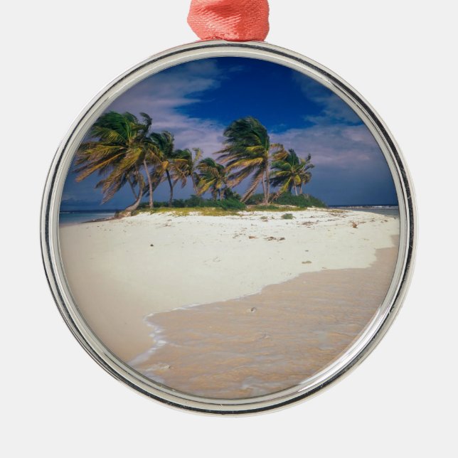 Tropical Island Sandy Anguilla Metal Tree Decoration (Front)