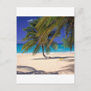 Tropical Island Seven Mile Grand Cayman Postcard