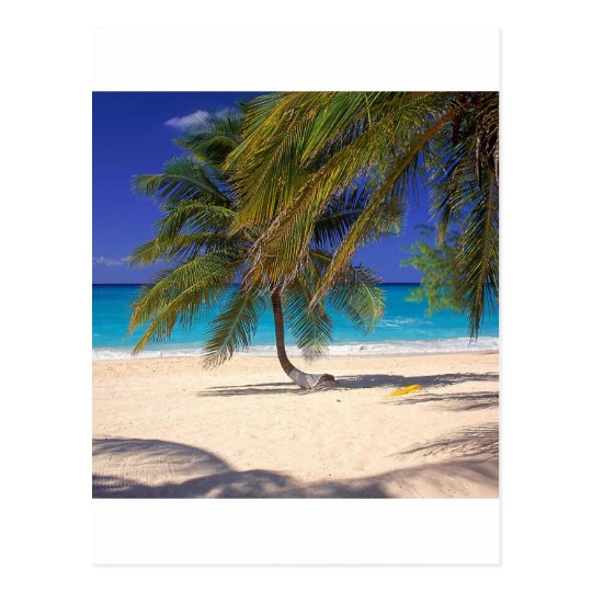 Tropical Island Seven Mile Grand Cayman Postcard
