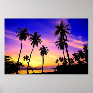 Tropical Island Sunset Over Sri Lanka Poster