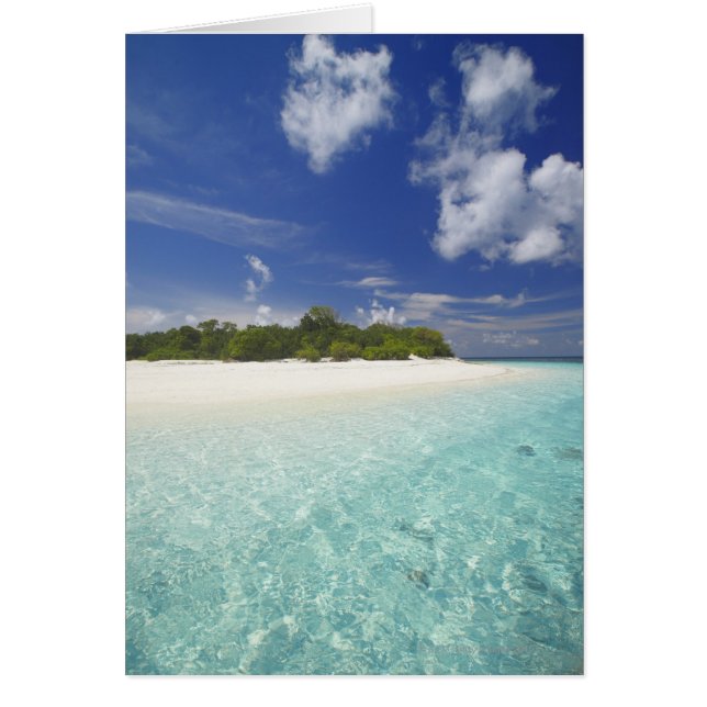 Tropical island surrounded by lagoon, Maldives, (Front)
