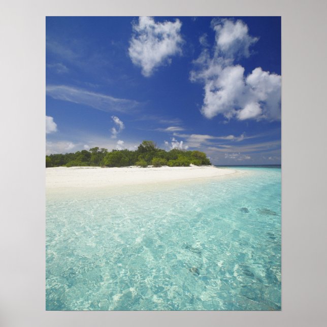 Tropical island surrounded by lagoon, Maldives, Poster (Front)