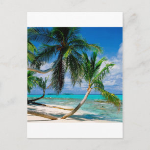 Tropical Island Tepuka Tuvalu Postcard