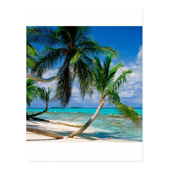 Tropical Island Tepuka Tuvalu Postcard