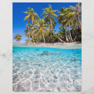 Tropical island under and above water flyer