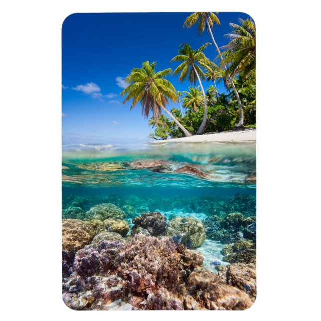 Tropical island under and above water magnet (Vertical)
