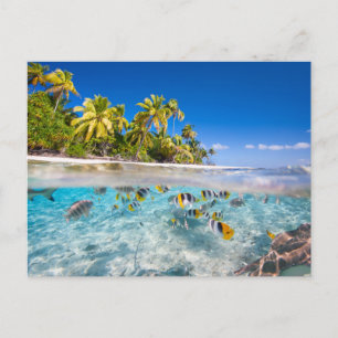 Tropical island under and above water postcard
