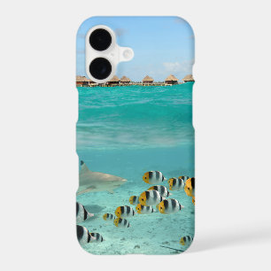 Tropical island with shark and fishes