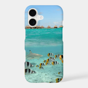 Tropical island with shark underwater