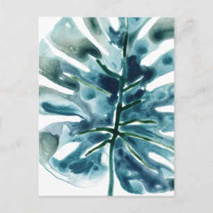 Tropical Jewel Palm Postcard