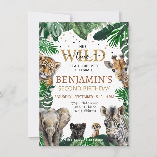 Tropical Jungle Safari Animals Birthday Invitation (Front)