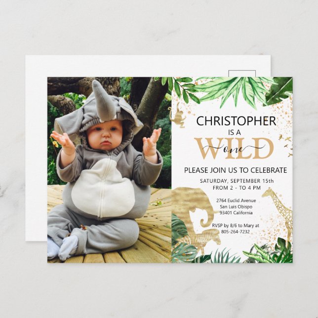 Tropical Jungle Safari Animals Photo 1st Birthday Postcard (Front/Back)