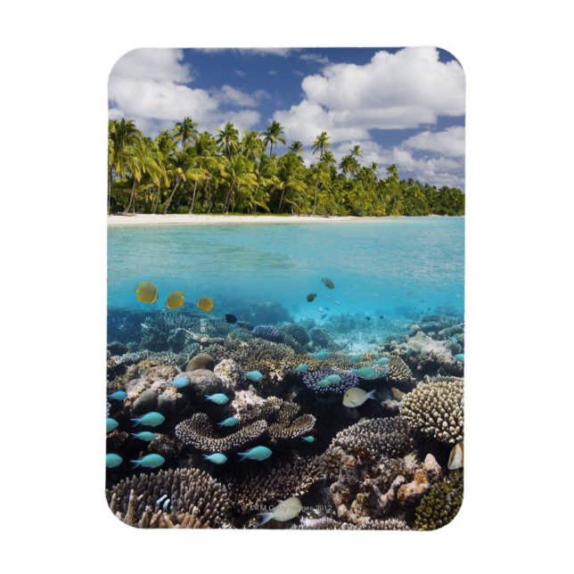 Tropical Lagoon in South Ari Atoll in the Magnet (Vertical)