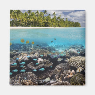 Tropical Lagoon in South Ari Atoll in the Magnet