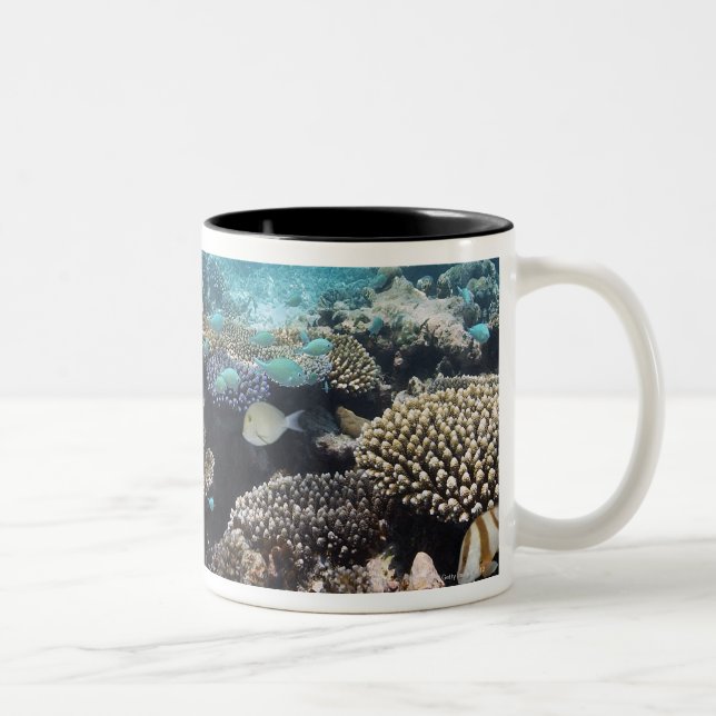 Tropical Lagoon in South Ari Atoll in the Two-Tone Coffee Mug (Right)