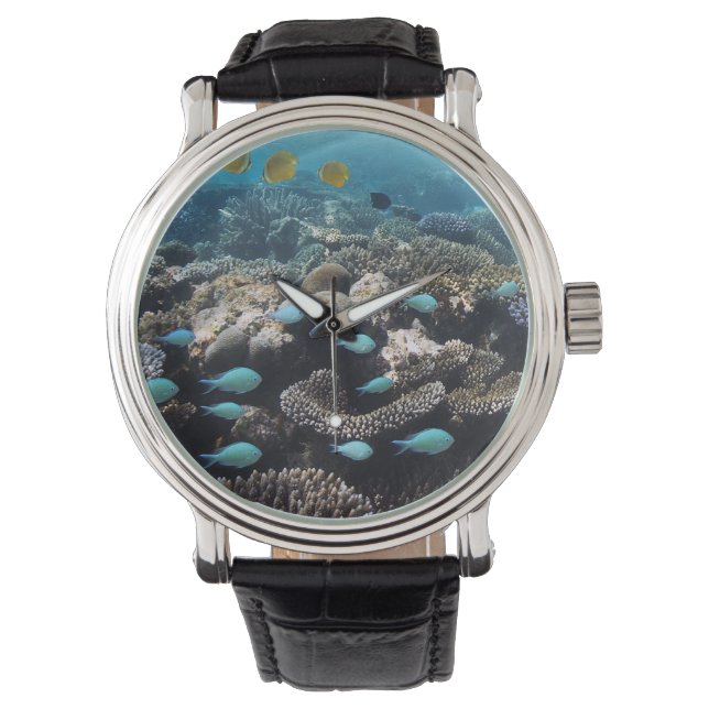 Tropical Lagoon | South Ari Atoll Watch (Front)