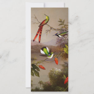 Tropical Landscape with Ten Hummingbirds Card