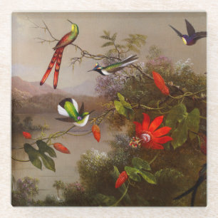 Tropical Landscape with Ten Hummingbirds Heade Glass Coaster