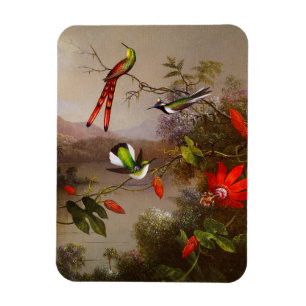 Tropical Landscape with Ten Hummingbirds Heade Magnet