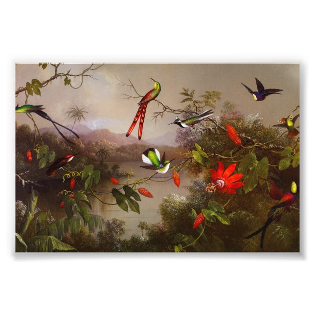 Tropical Landscape with Ten Hummingbirds Heade Photo Print (Front)
