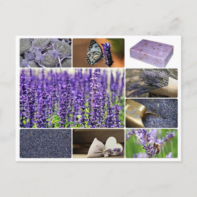 Tropical lavender collage photo postcard (Front)