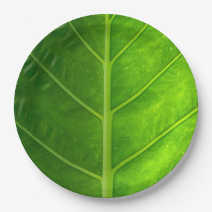 Tropical Leaf Disposable Paper Plates