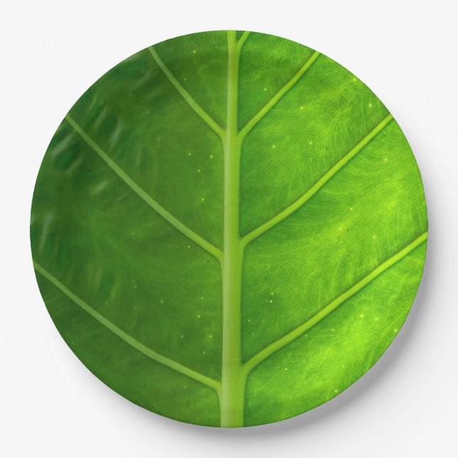 Tropical Leaf Disposable Paper Plates (Front)