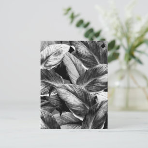 Tropical Leaves 8 Postcard