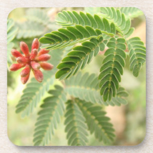 Tropical Leaves Cork Coaster