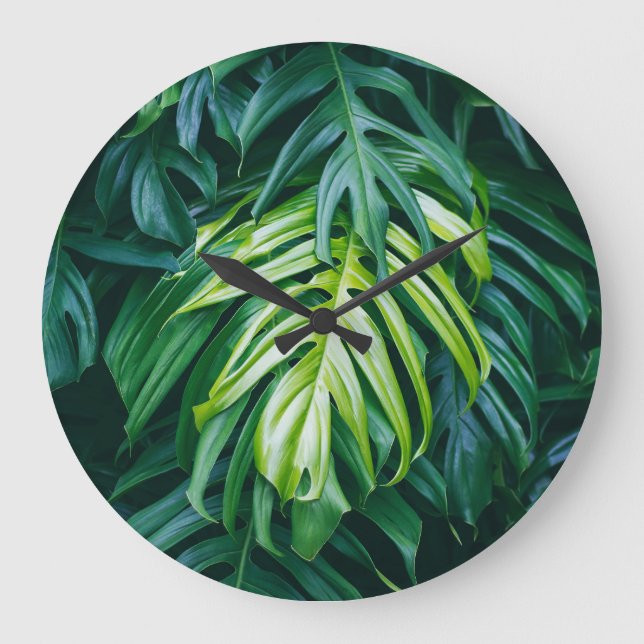 Tropical leaves: dark nature background. large clock (Front)