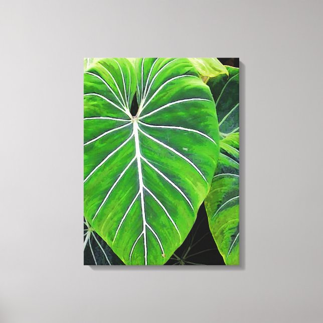 Tropical Leaves, Elephant Ears, Dark Green Canvas Print (Front)