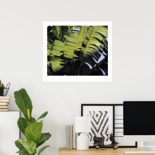 Tropical Leaves Poster