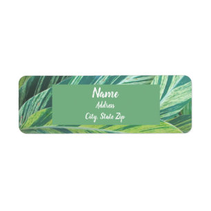 Tropical Leaves Striped Green Foliage Tropics