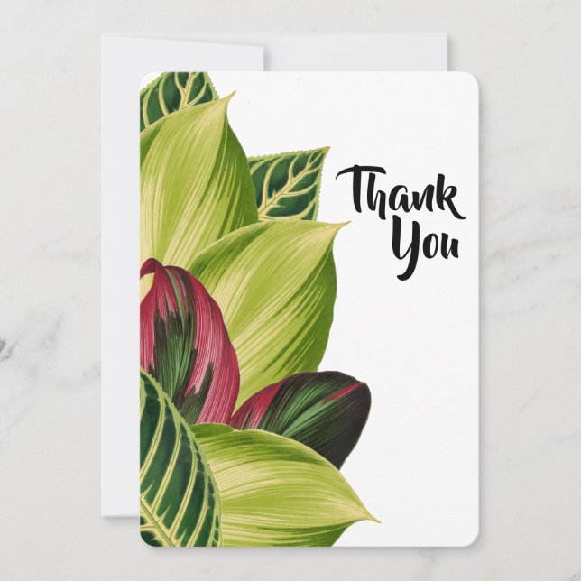 Tropical Leaves Thank You card (Front)