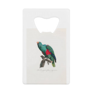 tropical macaw parrot