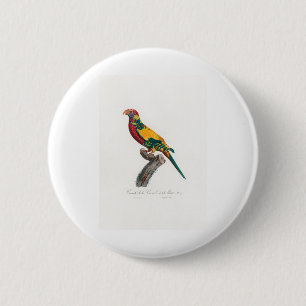 tropical macaw parrot 6 cm round badge