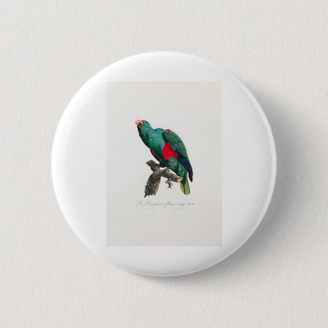 tropical macaw parrot 6 cm round badge (Front)